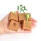 Plant growth process solid soybean growth stages