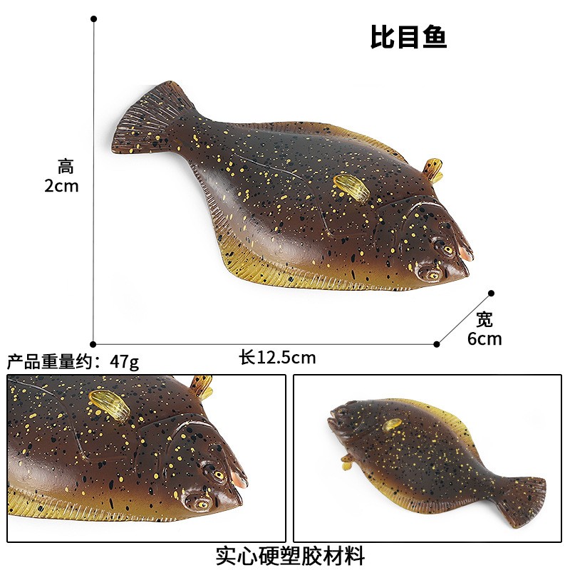 仿真动物模型实心比目鱼鞋底鱼鲽鱼儿童认知科教海洋生物玩具摆件-图1