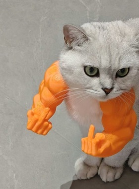 猫咪肌肉手臂挂件创意3D打印