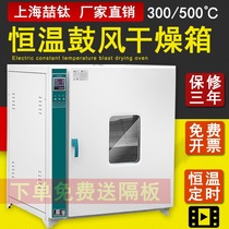 101-1 Industrial Blast Drying Cabinet Thermostatic Oven Electric Heating Dryer Laboratory High Temperature Aging Oven Test