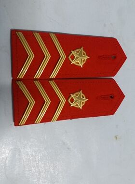 收藏乐队配饰