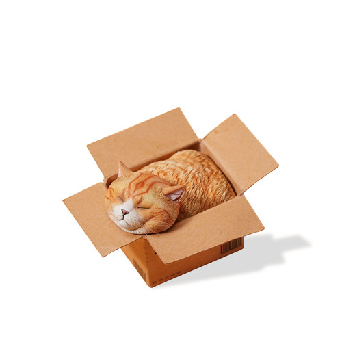 JXKsmall快递猫模型公仔仿真宠物小猫咪蓝猫手办迷你微缩摆件礼物 - 图3