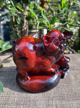 老挝大红酸枝木雕招财猪摆件交趾黄檀整木红木实木工艺礼品收藏