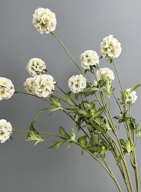 仿真6头风车果车轮菊室内装饰花