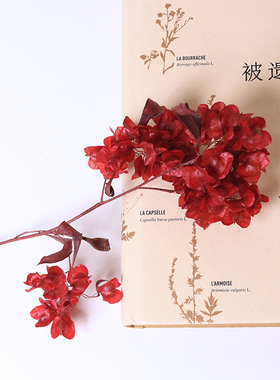 迎客干花永生花红色喜庆婚庆软装