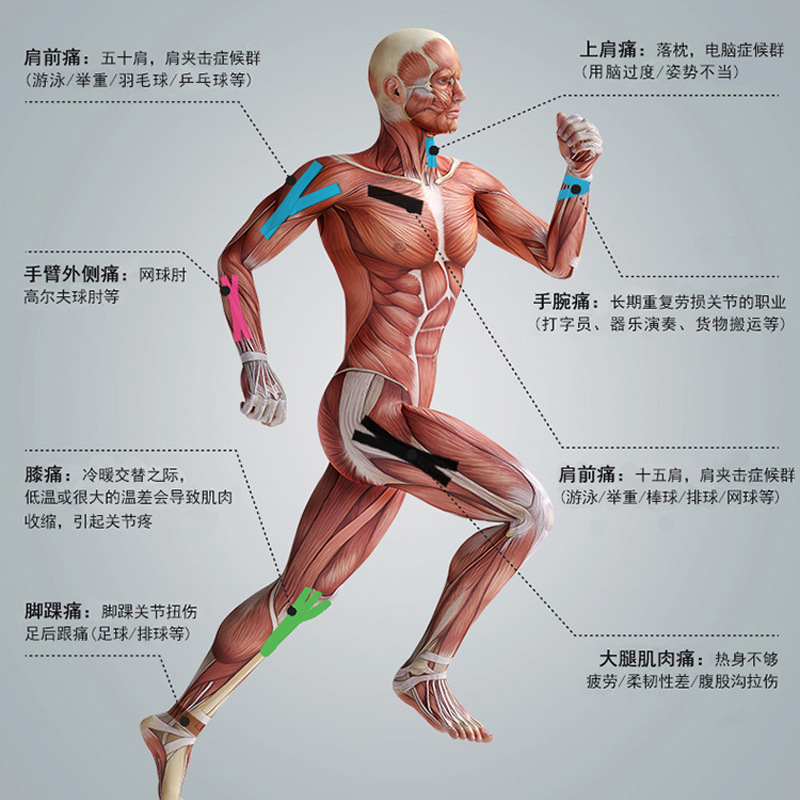 专业新款弹性运动绷带肌内效贴肌贴胶带防布肌肉拉伤损伤篮球足球 - 图1