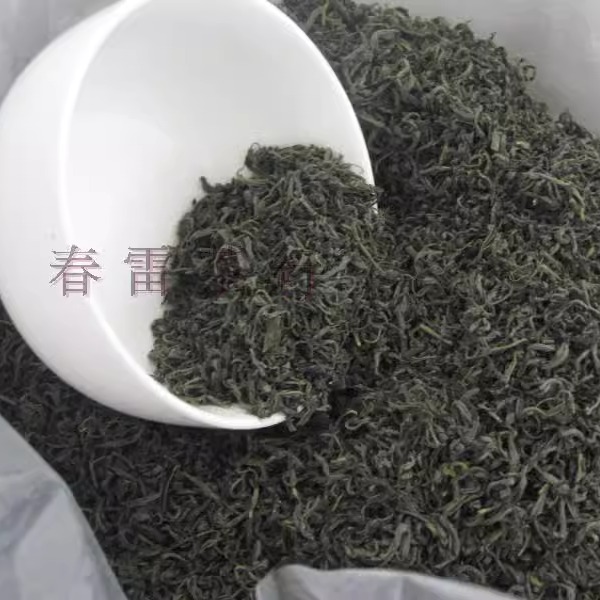 五峰茗茶500克2024年新茶叶纯绿茶珍眉浓郁耐泡湖北宜昌三峡炒青 - 图2