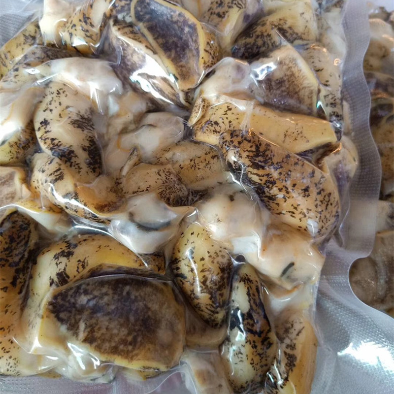 大连假鲍鱼鲍螺肉老婆脚海螺珍珠鲍鱼螺肉冷冻刺身500克