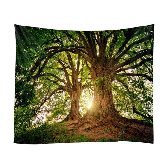 大树森林墙布主播背景布卧室茶室墙壁装饰挂毯场景壁画布自然风景