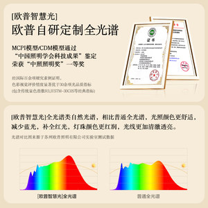 欧普/咖啡豆/中古风吊灯复古2025新款宋代美学灯饰全光谱客餐厅DD