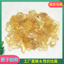 Recommended polished natural without worms cobba resin copa fat free of insect imitation amber single-denominated
