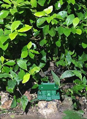 万姓宗祠(一箱12尊,材料为树脂) 可安放山林草丛等隐蔽处