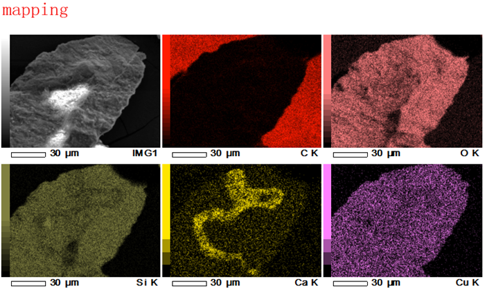 SEM测试 扫描电镜测试分析 SEM微观形貌观察测试 EDS mapping测试 - 图0