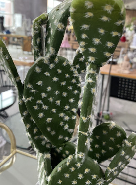 ins风仿真仙人掌水泥底座摆件