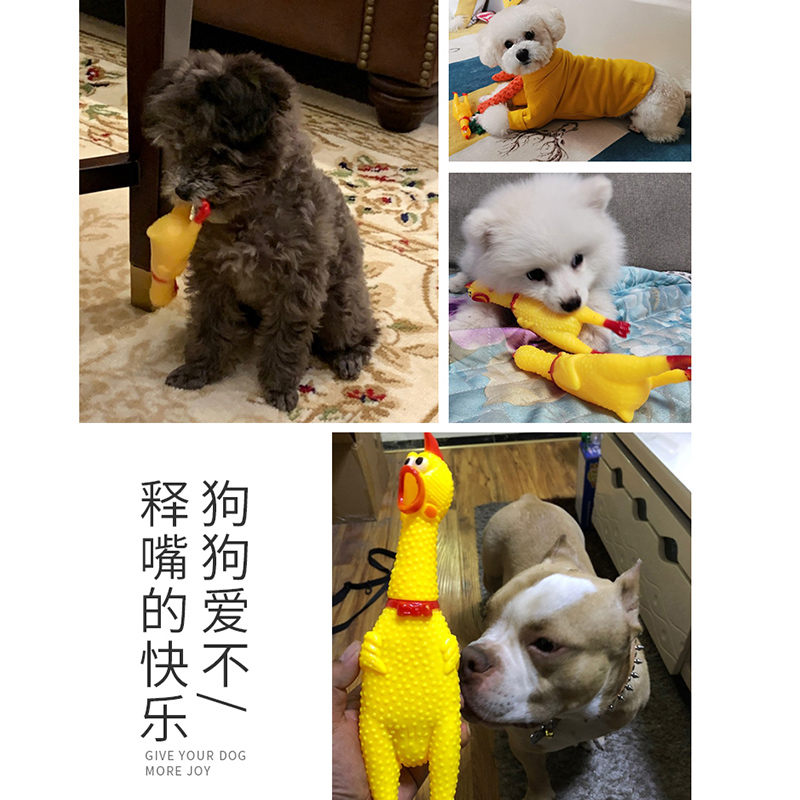 宠物狗狗耐咬幼犬小狗磨牙搪胶发声玩具泰迪球用品金毛解闷神器 - 图2