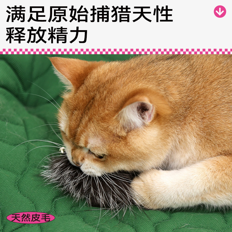 Qmonster仿真小昆虫猫玩具宠物逗猫棒替换头羽毛丰荣嗅闻自嗨解闷,淘宝优惠券,粉丝福利购,淘宝优惠卷