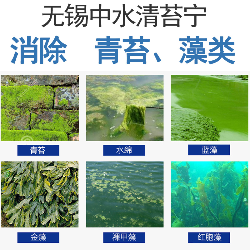 清苔宁水产养殖鱼虾蟹塘药除小球狐尾藻生物泥皮除青苔酶净水 - 图1