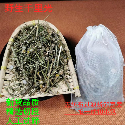 千里光野生中草药材九里光九里明黄花母九岭光洗皮肤干品一斤包邮 - 图2