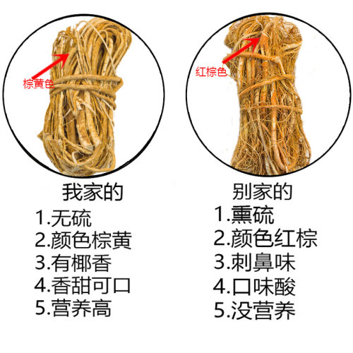 野生五指毛桃根五爪龙泡酒煲汤料五指毛桃土茯苓中药材足干货无硫 - 图1