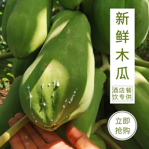 广西青木瓜新鲜包邮  凉拌沙拉腌酸生木瓜蔬菜大木瓜8斤 - 图0