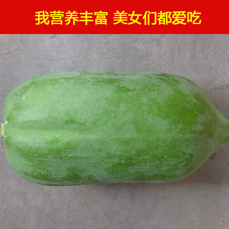 青木瓜新鲜包邮青木瓜下奶广西生木瓜非水果新