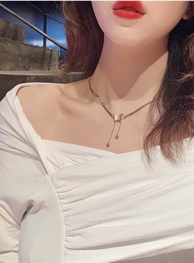 欧美钛钢双层磨砂蝴蝶温柔流苏项链女时尚扁蛇骨链短款锁骨链饰品