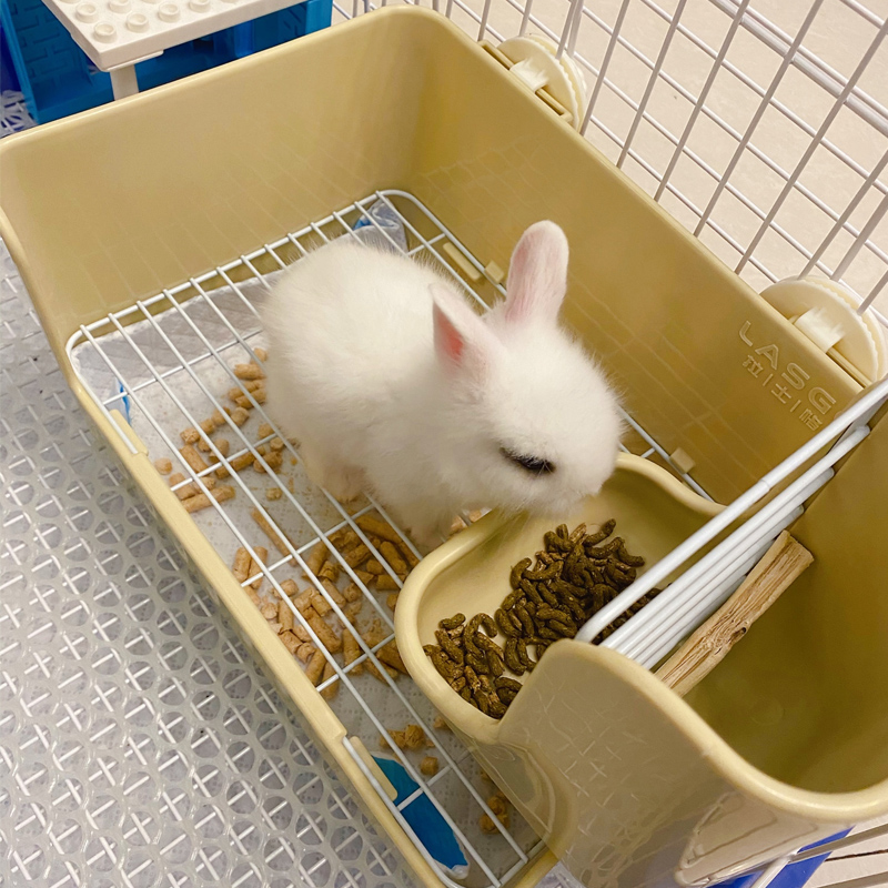 拉士格兔兔厕所便盆防喷尿 宠物龙猫貂豚鼠免沙 尿盆屎盆兔子用品,淘宝优惠券,粉丝福利购,淘宝优惠卷