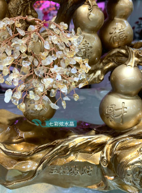 发财树葫芦风水搬家客厅桌面新品