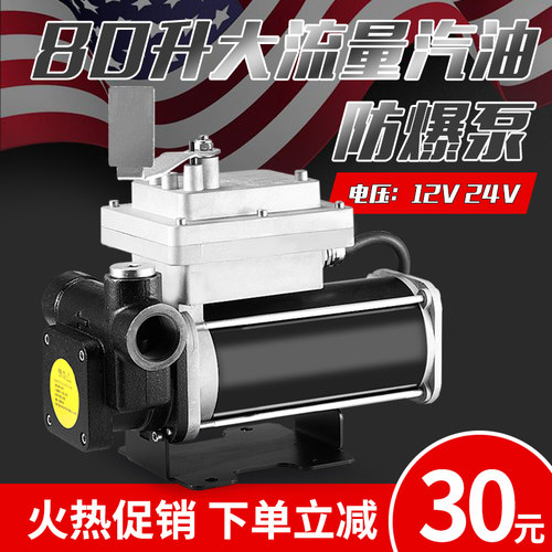 汽油泵12V24V防爆抽油泵220V车载加油机汽油甲醇乙醇溶剂油自吸泵 - 图2