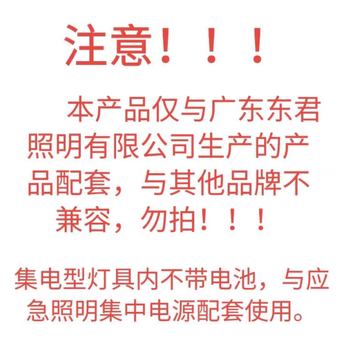 东君36v集中电源大型疏散指示灯A型智能消防应急单双安全出口 - 图0