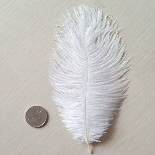 От 15 до 20 см. Острие волосы с шорт -одеждой.