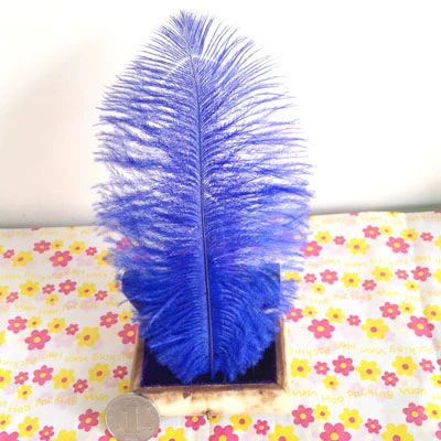 От 15 до 20 см. Острие волосы с шорт -одеждой.