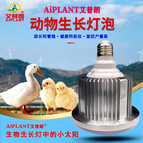 艾普朗动物生长灯鸟类鹦鹉鸽子繁殖灯宠物猫狗禽畜养殖场用补光灯 - 图2
