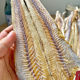 Yanbian specialty fragrant pollack fillet 320g