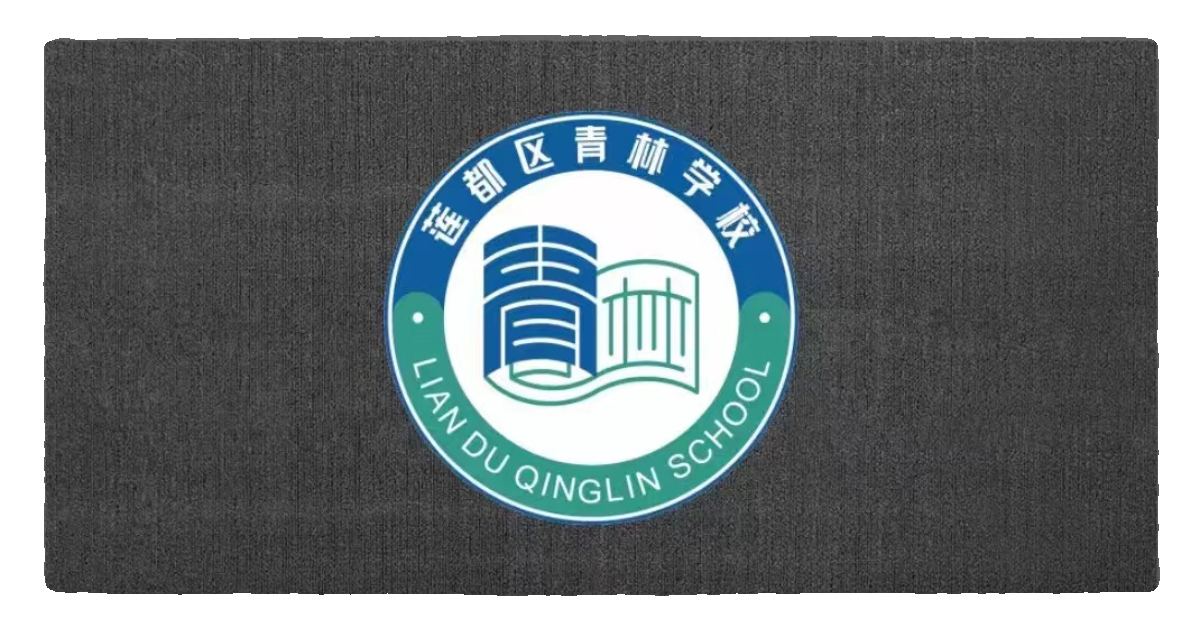 丽水市青林学校秋季校服初中秋装运动装 - 图0