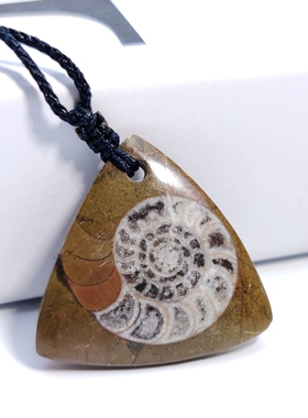 化石天然饰品海洋生物标本吊坠