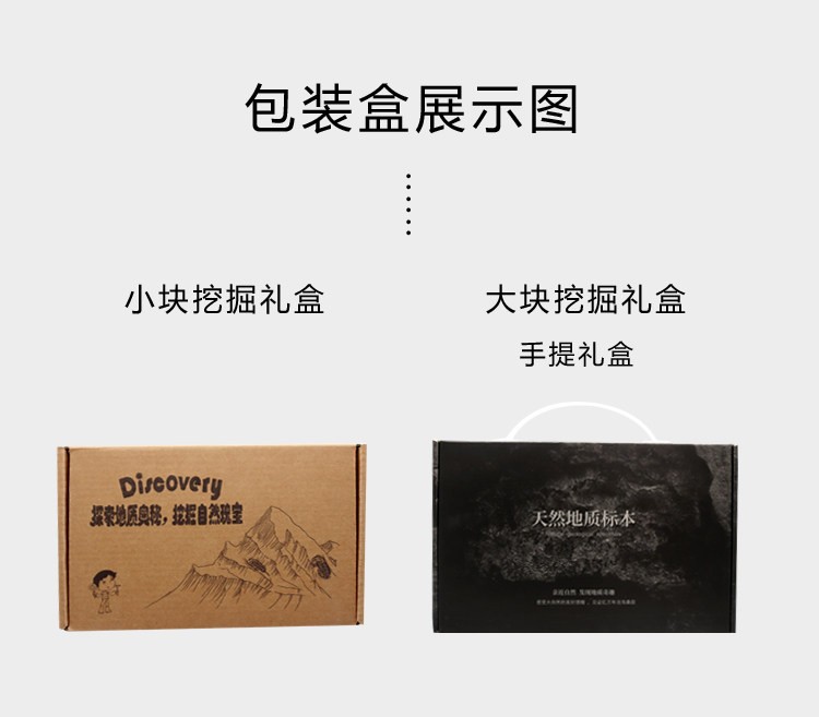 考古挖掘盲盒古生物天然化石原石头地质科普教学标本儿童寻宝手工,淘宝优惠券,粉丝福利购,淘宝优惠卷