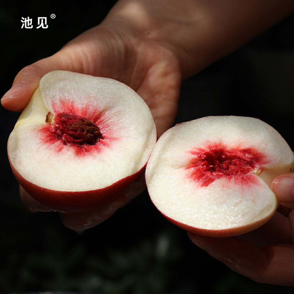 池见 山西秋雪离核脆桃当季新鲜水果桃子现摘现发嘎嘣脆清脆爽口,淘宝优惠券,粉丝福利购,淘宝优惠卷