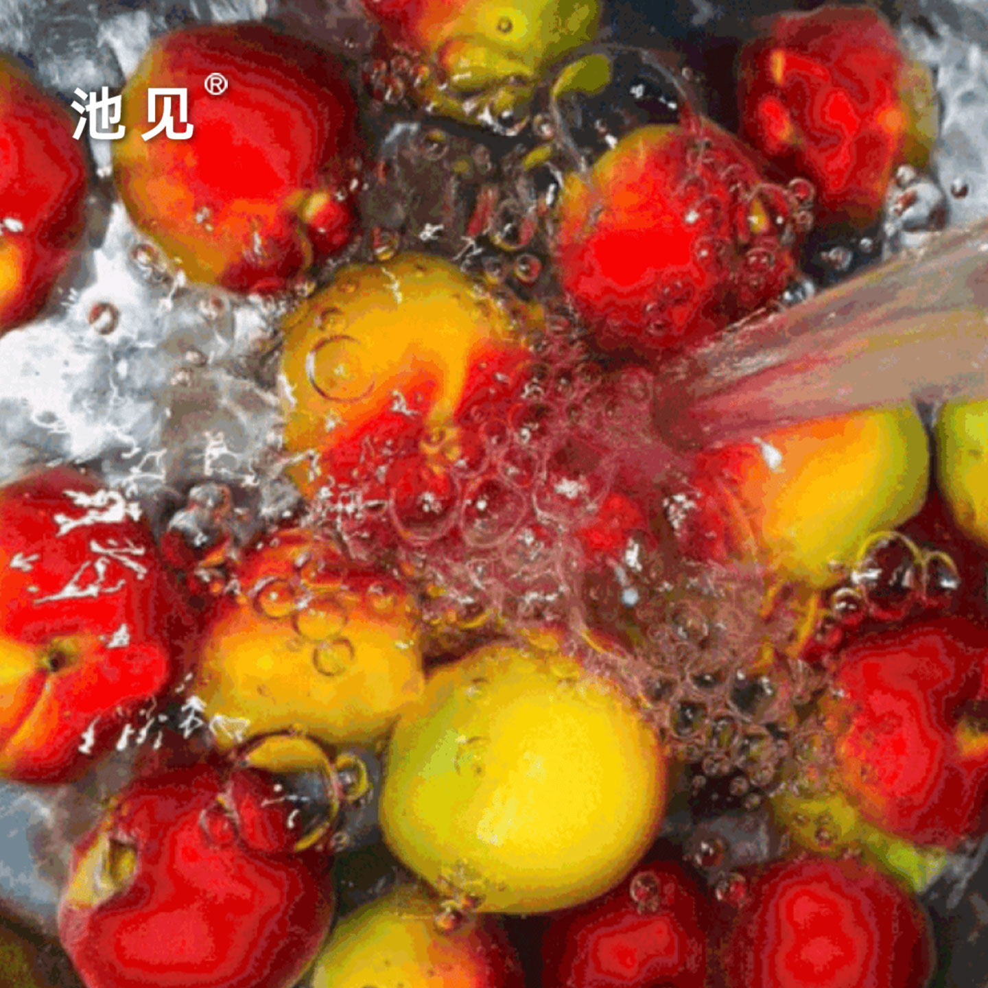 池见新疆哈密美人胭脂杏新鲜水果油杏当季现摘现发红杏子顺丰航空,淘宝优惠券,粉丝福利购,淘宝优惠卷