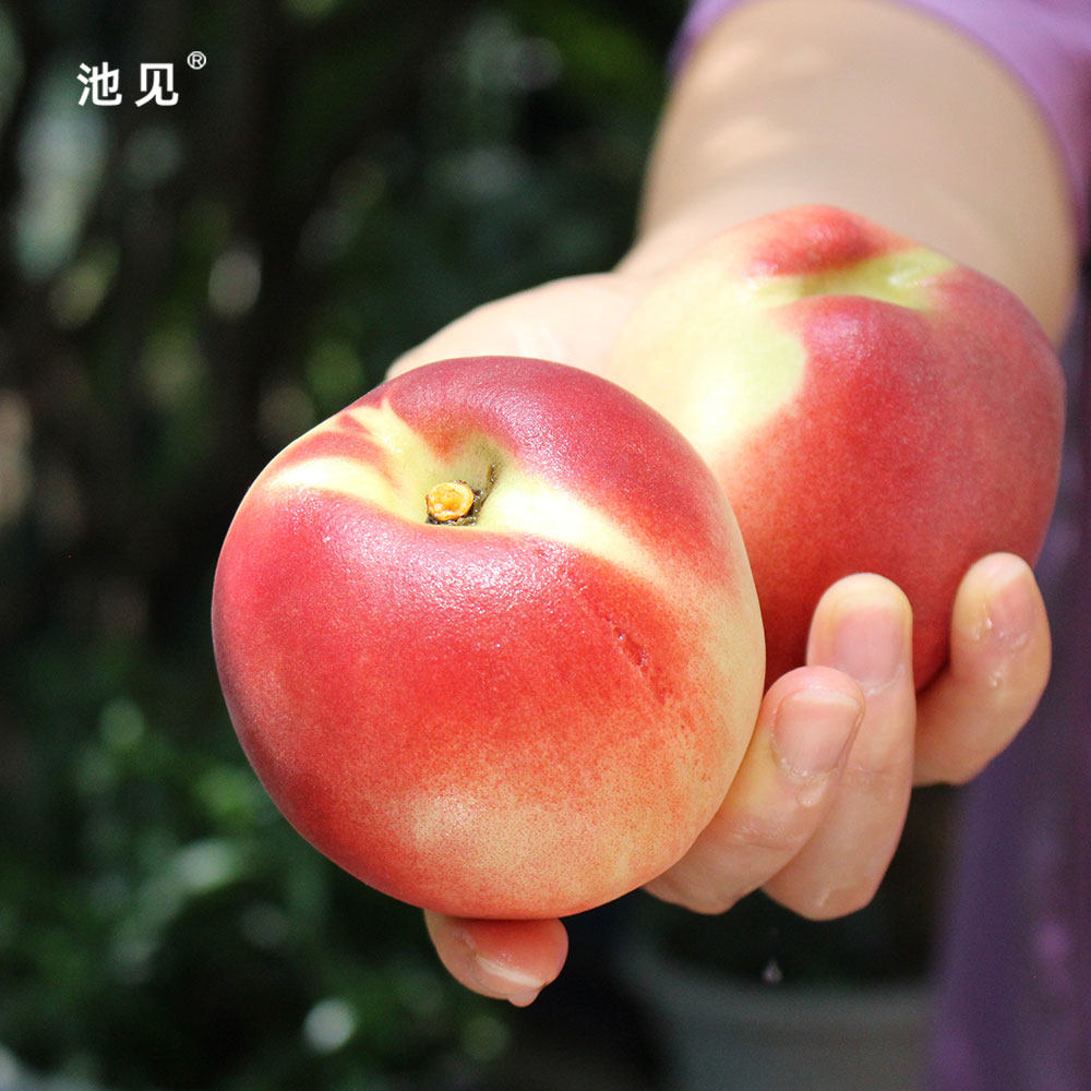 池见 山西秋雪离核脆桃当季新鲜水果桃子现摘现发嘎嘣脆清脆爽口,淘宝优惠券,粉丝福利购,淘宝优惠卷