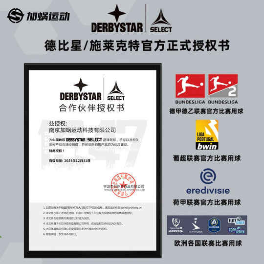 SFS德比星DERBYSTAR足球23/24德甲联赛官方正品比赛5号球训练D90