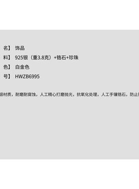 THESOONG925银设计感耳饰