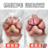 Собачья бритья ноги, ноги, кошка с ладонила