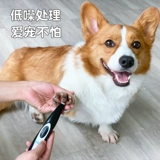 Собачья бритья ноги, ноги, кошка с ладонила