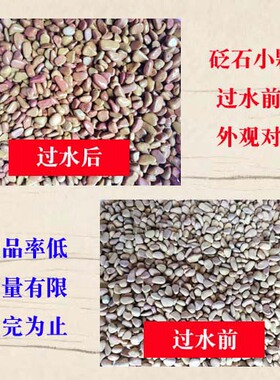 泗滨砭石原石小颗粒一斤包邮
