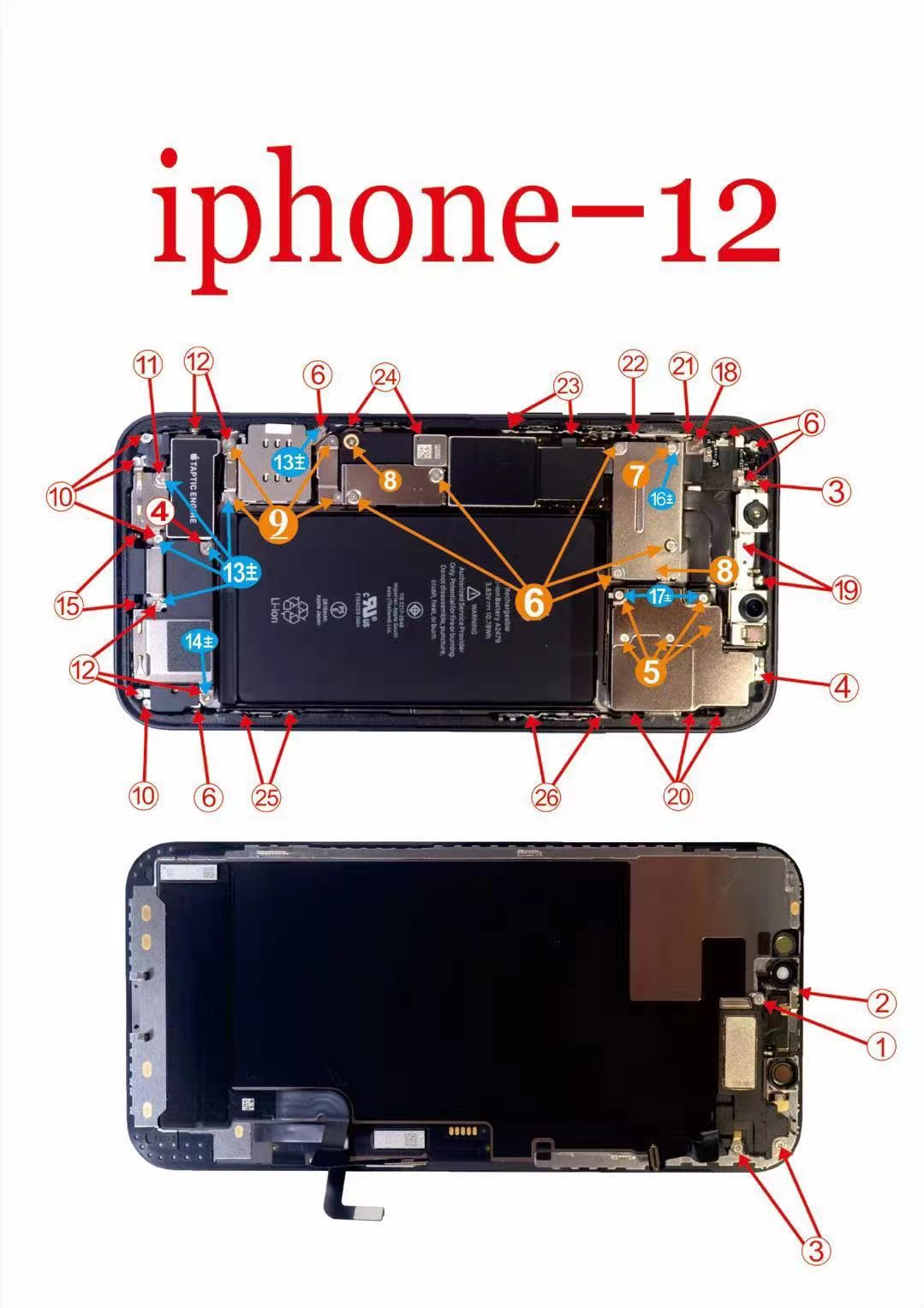 苹果全套分类螺丝 iPhone6 6sp 7 8P X XS MAX主板屏幕尾部螺丝 - 图1