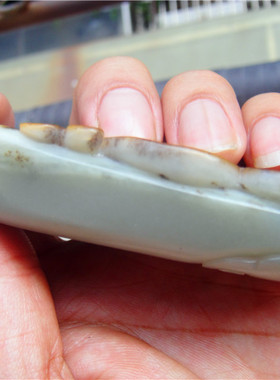 把件新疆和田玉籽料