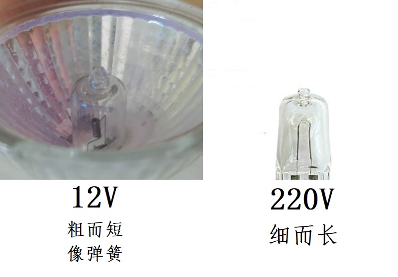 LED射灯泡220伏两针GU5.3插脚12V老款嵌入式天花筒灯MR16玻璃灯杯 - 图1