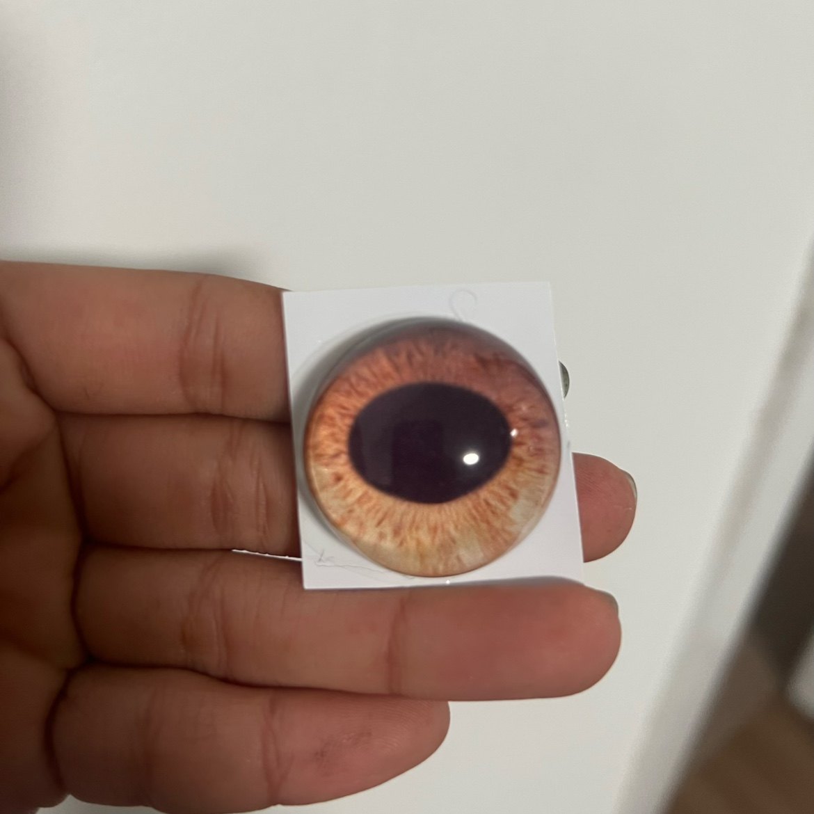 写实牛兽头兽装标本玩偶半球玻璃眼睛毛毡动物圆瞳仿真眼捏捏福瑞,淘宝优惠券,粉丝福利购,淘宝优惠卷