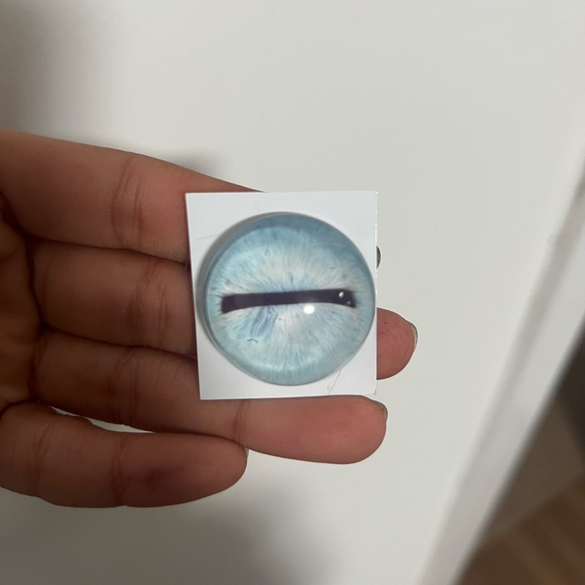 蜥蜴守宫兽头标本玩偶半球玻璃眼睛毛毡动物圆瞳仿真眼捏捏福瑞,淘宝优惠券,粉丝福利购,淘宝优惠卷